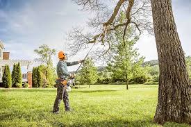 Best Tree Disease Treatment  in Pollock Pines, CA